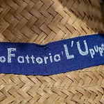 Biofattoria L'upupa *