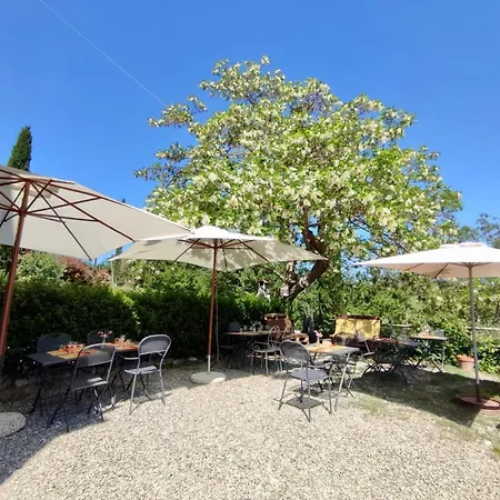 Apartment Biofattoria L'upupa Montalcino